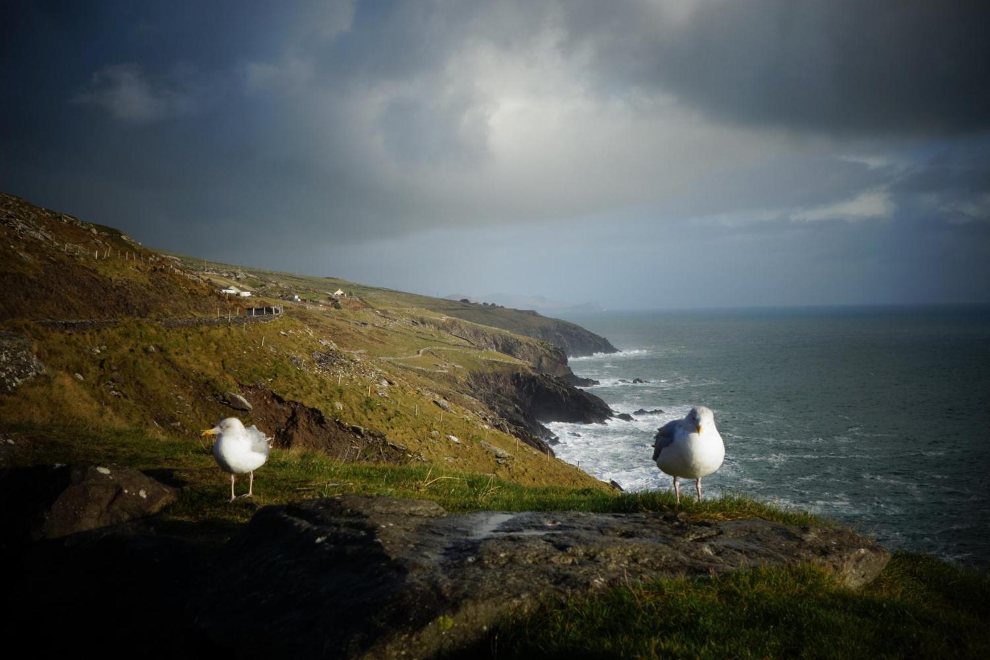 Keanes Of Curraheen, Bar, Restaurant & Accommodation Tralee Exteriér fotografie